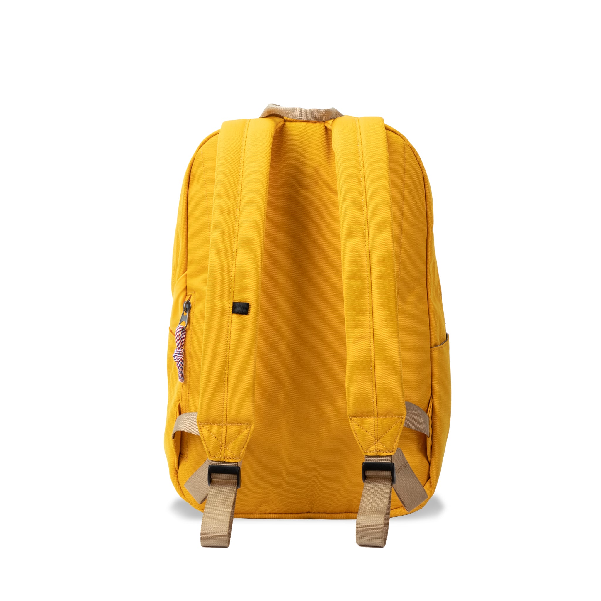AMERICAN TOURISTER Cater Backpack
